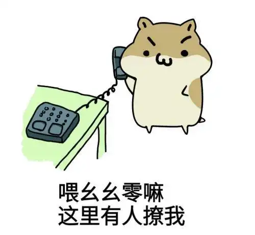 爆笑段子快滚蛋,别妨碍老子做饭  爆笑段子快滚蛋,别妨碍老子做饭