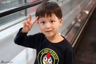 组图田亮颜值输儿子小亮仔软萌甜可爱抢镜  组图田亮颜值输儿子小亮仔软萌甜可爱抢镜