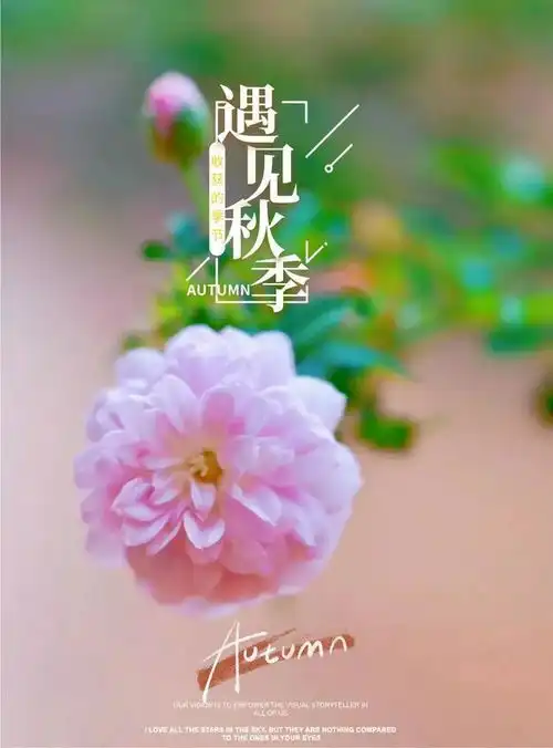  8月25日周末愉快,祝大家天天都有好心情