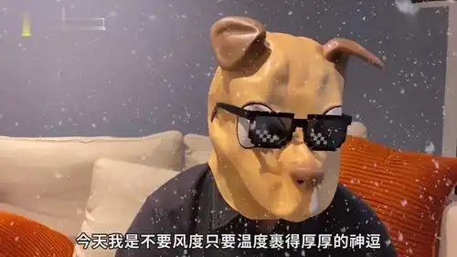  电影解说用东北话和台湾人吵架是啥体验,爆笑解说沙雕电影东北插班生