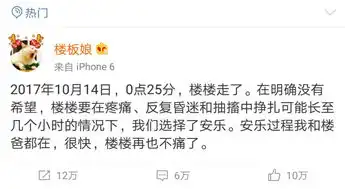  网红猫楼楼去世,我们的表情包回喵星球了