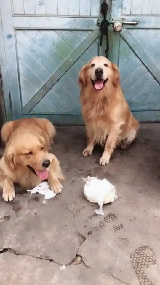  李宇辉整天躺枪