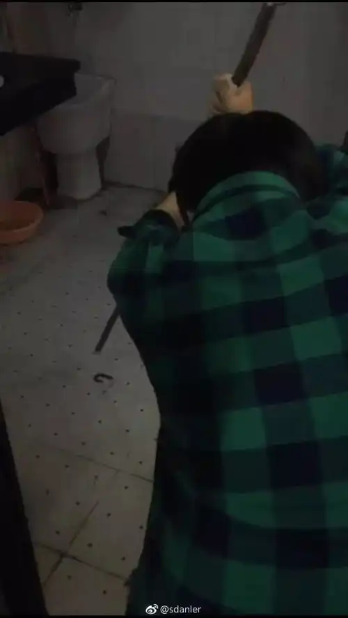  学校生活最搞笑的瞬间合集承包你未来一年的笑点