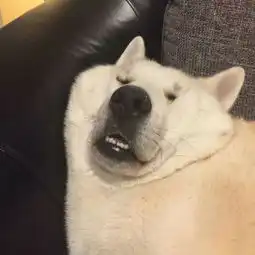  有哪些好看的情侣头像