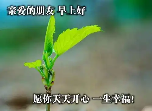  最美的早安问候图片,新的一天祝大家早安祝福语