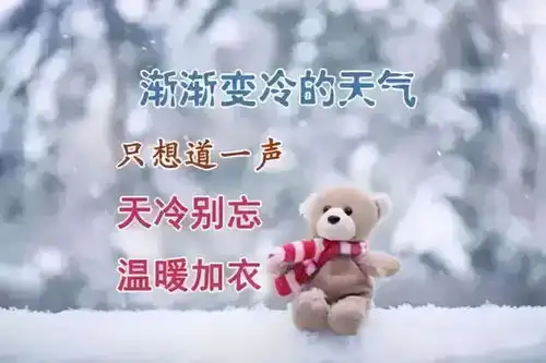  降温了,问候早上好的图片句子短语
