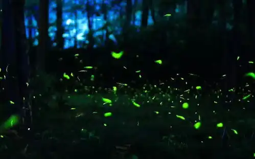 为了让你爱我