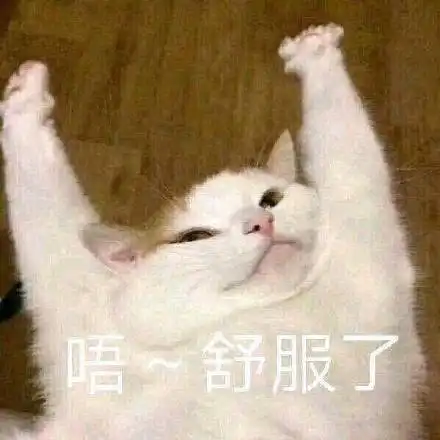  kimoji如何把猫撸上天堂