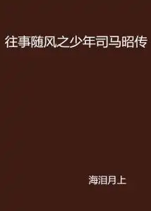  往事随风之少年司马昭传