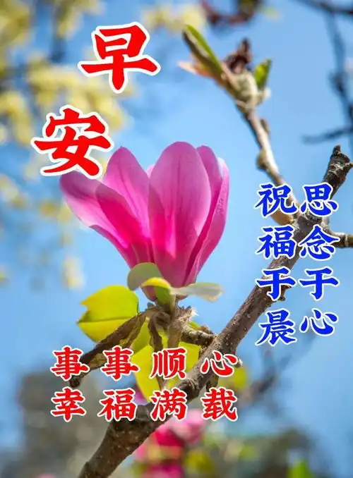  3月7日周二早上好新版精选祝福语问候语录唯美图片带字带问候语