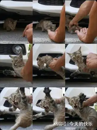 搞笑图片第845期有些贱真的很难让人忍得住不犯  搞笑图片第845期有些贱真的很难让人忍得住不犯