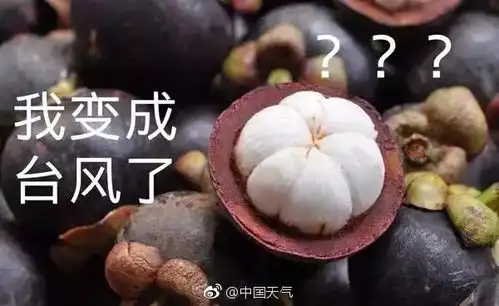  警惕台风山竹加速来袭福州部署防御还有新台风来搞事