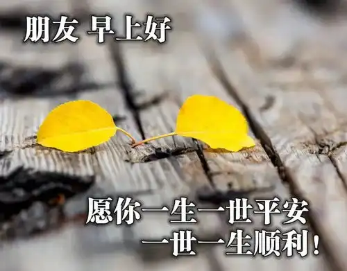  2021最美早安问候祝福动态表情图片最新漂亮冬季美女早上好动画表情包