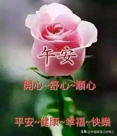  欣赏午安祝福美图