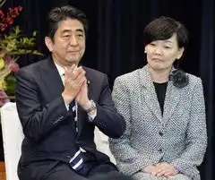  安倍夫人谈与丈夫婚姻媒体预测2014年会否离婚