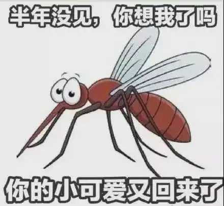  冠状病毒会通过蚊子来传播吗,世卫组织回应