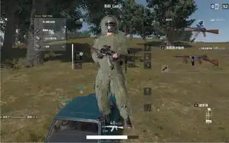  绝地求生为何职业赛场akm登场率如此之高akm性能全方位解析