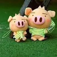  搞笑猪头像可爱图片微信头像图片大全
