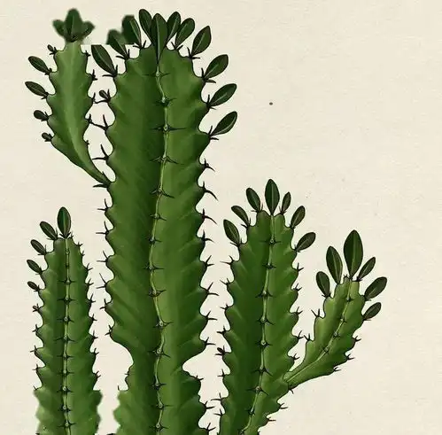  植物最美形态,不像话