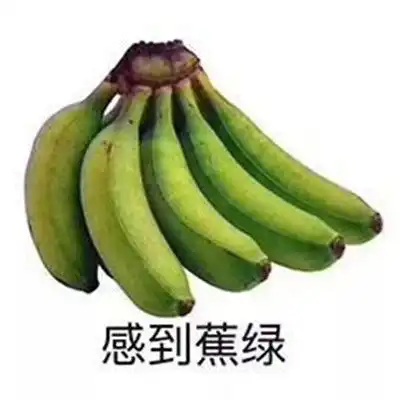 微信必备的斗图沙雕表情精选合集遇到困难睡大觉搞笑表情2021