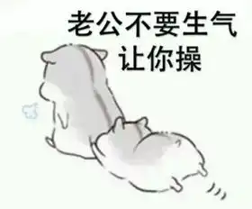  有没有一下老公我错了的表情包