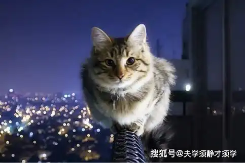  搞笑段子你身体不好快歇着,怎么能干这种粗活呢