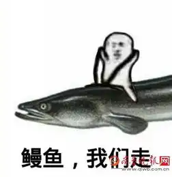  皮皮虾我们走是什么梗和皮皮猪我们走什么关系皮皮虾我们走表情包无水印