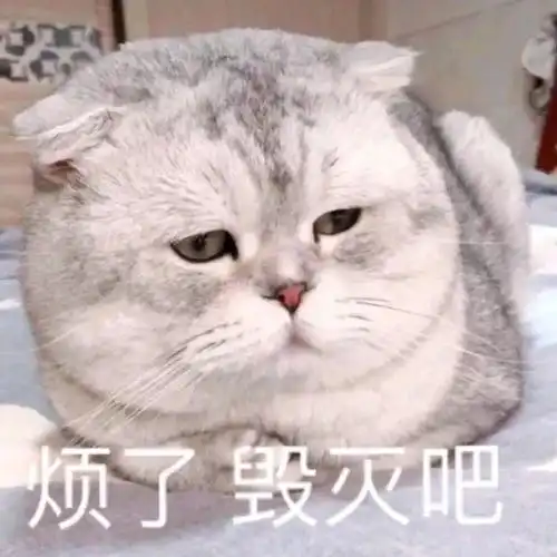  沙雕搞笑表情包狗命重要我想去睡了