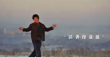  哈喽树先生