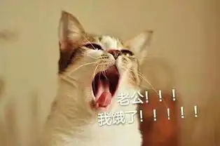 求接老公微信表情包 求接老公微信表情包