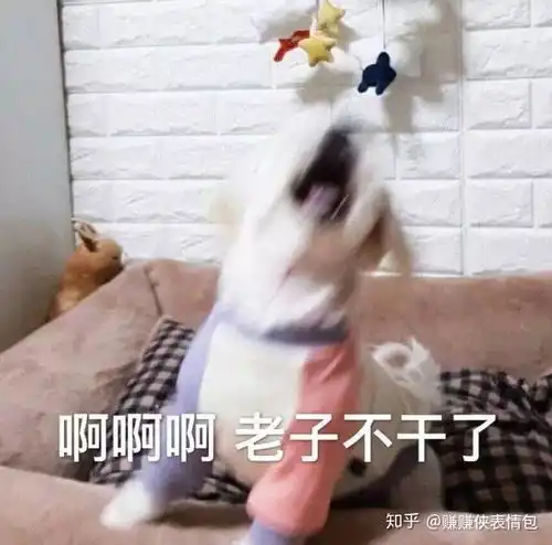 搞笑的表情包图片 微信