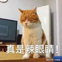  女子大风天出门遛狗,却总遭到路人奇怪的眼神,低头一看只想回家