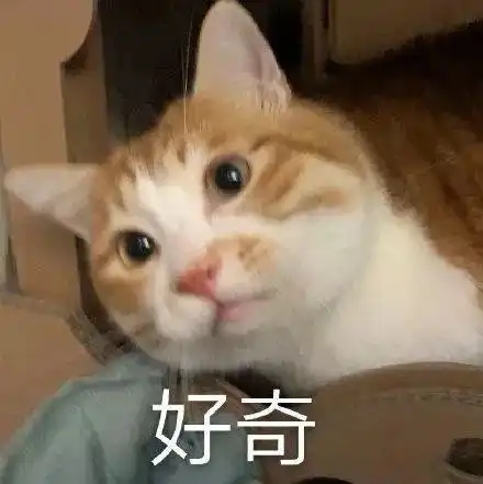  撩人表情包拿图片好奇,美丽的姑娘