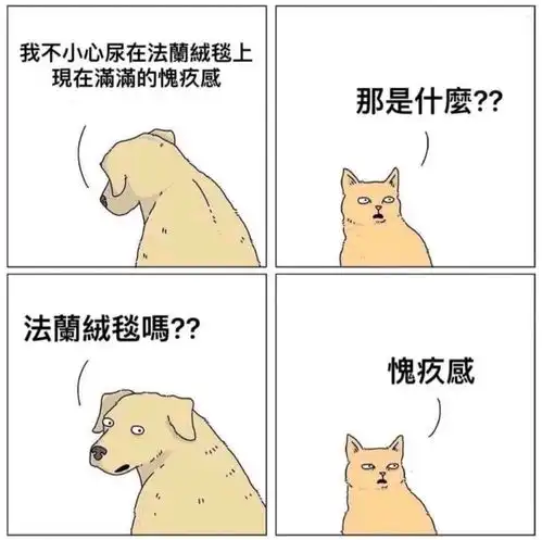  每日一笑当坐在后排的人向你提出驾驶建议人间真实
