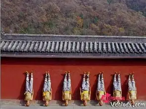  古代也强拆抗旨不搬最牛钉子户是少林寺