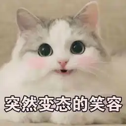  在大学,如何一眼辨别南方姑娘和北方姑娘
