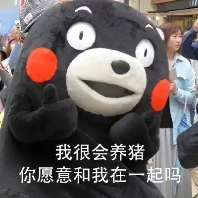  表情包我很会养猪你愿意和我在一起吗