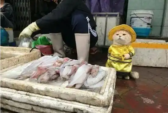 搞笑段子搞笑图片一同事最近刚到重庆来工作,听不懂重庆话  搞笑段子搞笑图片一同事最近刚到重庆来工作,听不懂重庆话