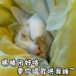  我的表情包去世了搜狐娱乐搜狐网