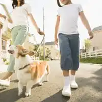  小女孩牵一只狗闰蜜头像微信头像图片大全