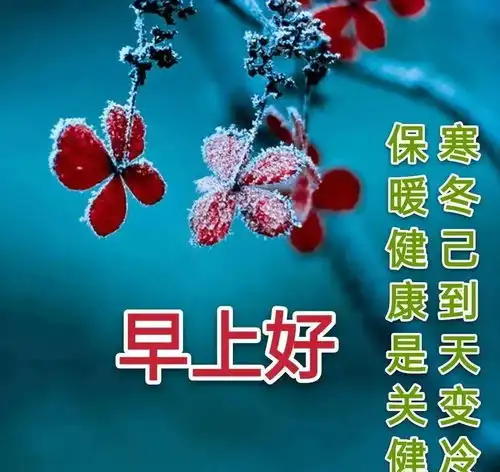 冬天早上问候图片风景