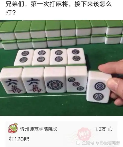  神回复不懂就问,为什么大巴车楼梯上放这么多石头儿