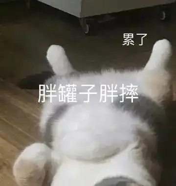  胖死算了,胖罐子胖摔第296期喵表情