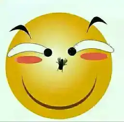 搞笑动态图片百度贴吧动