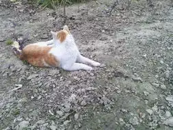 发个内涵图猜猜在干吗  发个内涵图猜猜在干吗