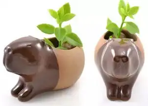 陶艺不止可以做瓶瓶罐罐,还可以做出这么有趣的作品