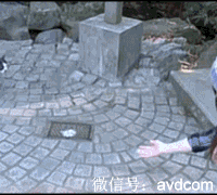  搞笑gif图片我和我的小伙伴简直都蒙了
