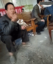 嗑瓜子搞笑动图