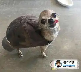  帽子的新用法get瞬间变成萌萌哒蓬蓬裙小公举