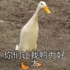  最新搞笑表情包图片看,你们让我鸭力好大